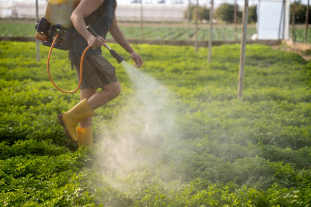 Best Commercial Pest Control Services  in Lexington, OH