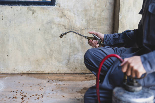 Pest Control for Restaurants in Lexington, OH