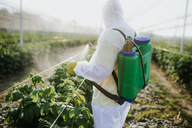 Best Affordable Exterminators  in Lexington, OH